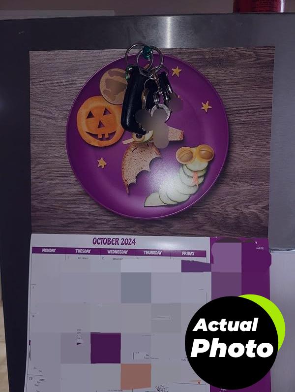 lovimag-strong-fridge-magnets-12pcs-pic-2