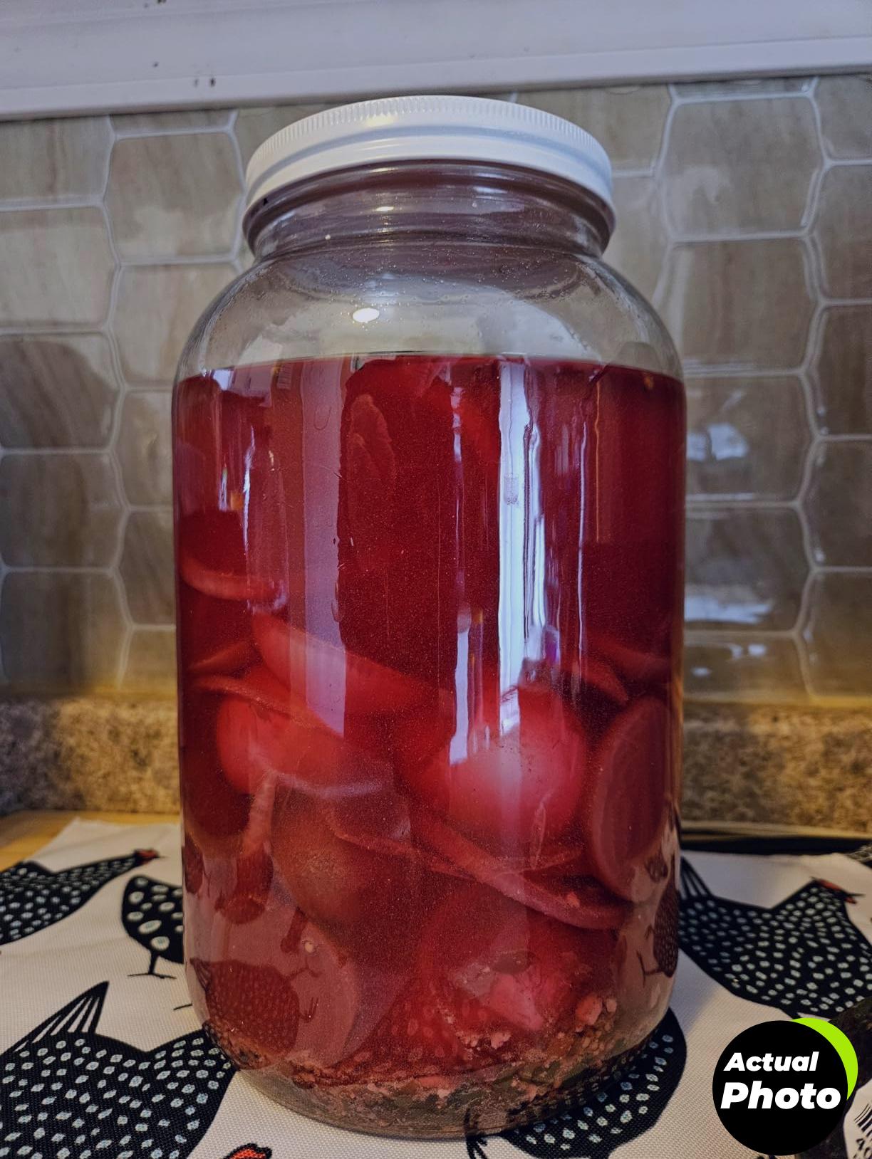 fastrack-1-gallon-jar-fermentation-foto-2