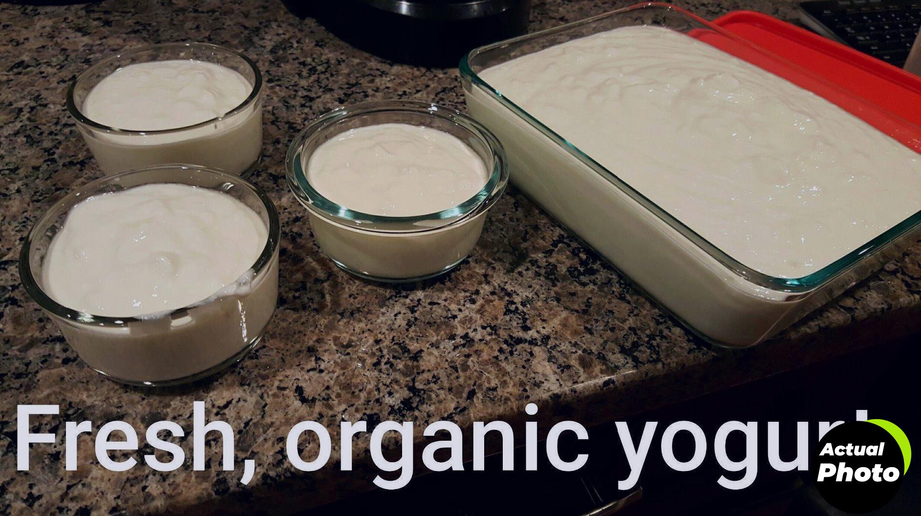 instant-pot-duo-cooker-7in1-6-quart-foto-2